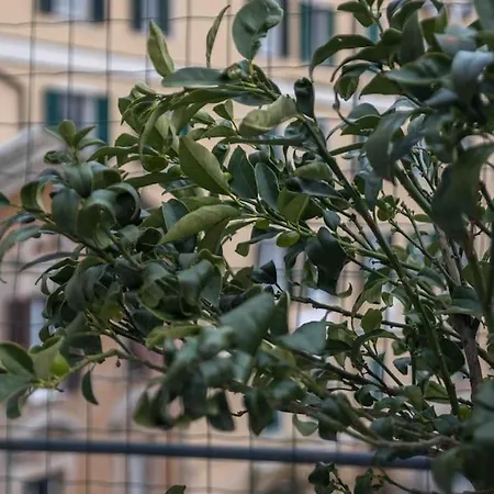 Apartamento Rosy's House Un Attico A Due Passi Dall'acquario Parking Free Génova